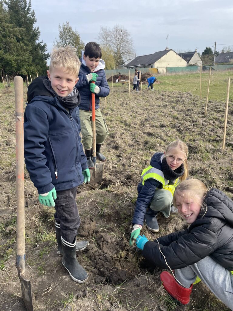 Plantation de la micro foret